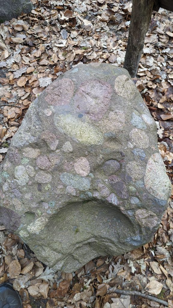 Konglomerat-Gestein im Findlingsgarten am Rundweg auf dem Piminellenberg